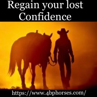 4BP Horses Regain Confidence Clinic: 7-11 July 2025 - 4BP Horses Australia