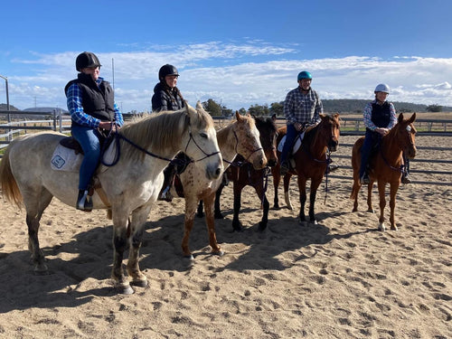 4BP Horses 5 Day Clinic (mobile version - we come to you) - 4BP Horses Australia