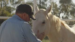 4BP Horses Self-Help & Wellbeing Video - Full Program - 4BP Horses Australia