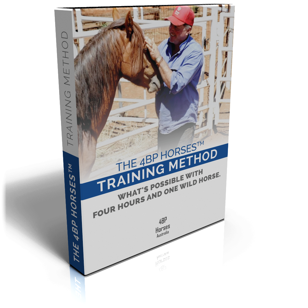 4BP Horses™ Training Program DVD – 4BP Horses Australia