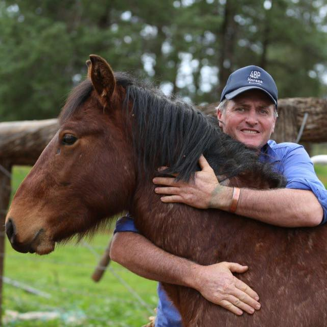 4BP Horse Training Program Online - Lessons - 4BP Horses Australia