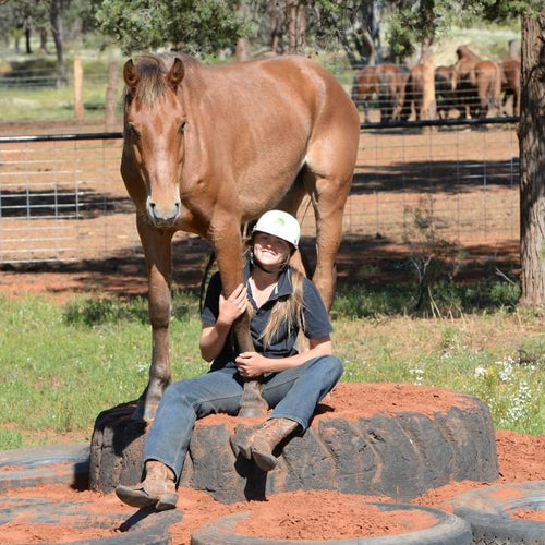 Lesson Bundle 1 - Introductions & Facing Up - 4BP Horses Australia